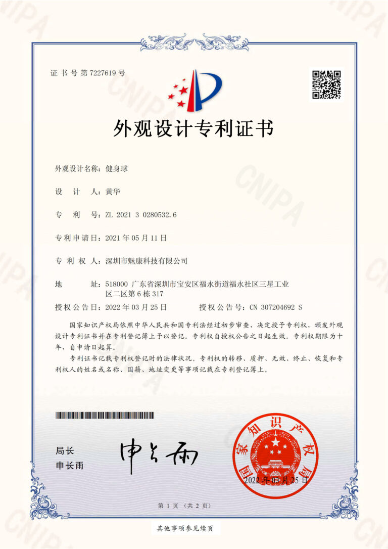 certificate fitness ball design patent